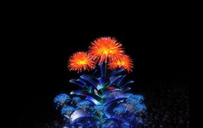 Цветы из кристаллов 