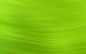 Зеленый фон