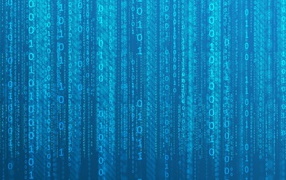 Бинарный код Матрицы