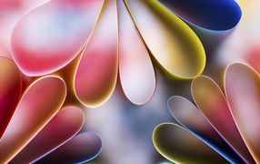 Лепестки цветов