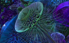 Необычный цветок