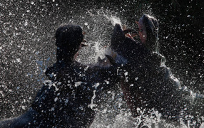 Битва бегемотов