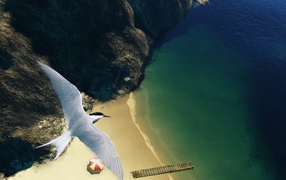 Вид на пляж с высоты птичьего полета