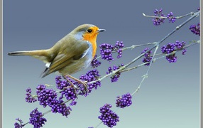 	   A bird on a branch with berries