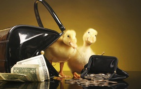 Утята у кошельков с деньгами