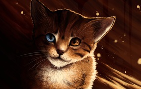 Кот с разными глазами