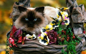 Садовая корзинка