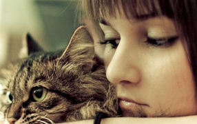 Портрет с кошкой