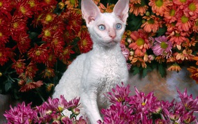 Белый девон-рекс в цветах
