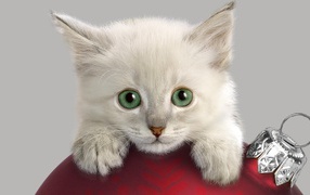 Котенок с Новогодней игрушкой