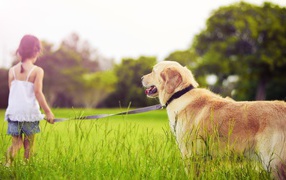 Девочка с золотым ретривером