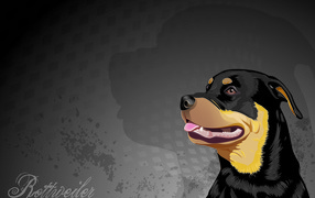 Нарисованная собака ротвейлер