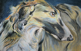 Русская борзая на рисунке