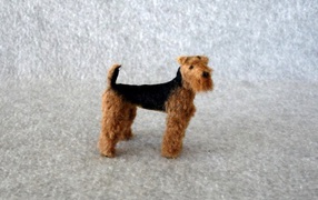 Small Airedale in the Snow