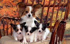 Мама со своими детьми