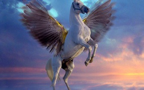 Белый Пегас