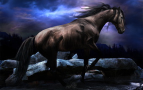 Черный конь скачет по реке