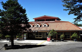 Китайский дом