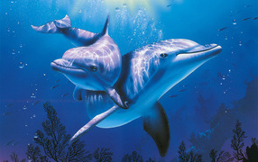 Dolphins in the blue waters