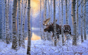 	   Elk in the winter forest