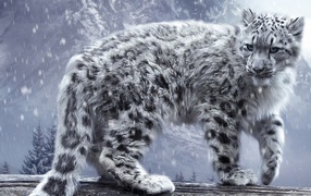 Белый леопард