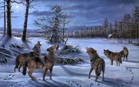 A pack of wolves moonlit night