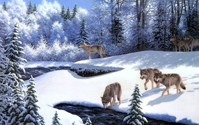 Волки в зимнем лесу