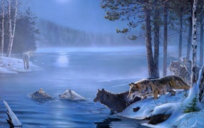 Wolves swim across the river