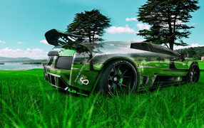Lamborghini Murcielago в траве