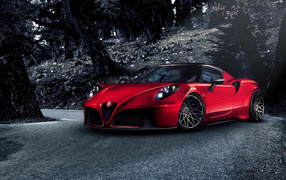 Автомобиль Alfa Romeo 4c на дороге