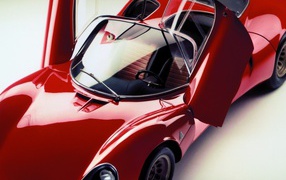 Test drive the car Alfa Romeo 33 