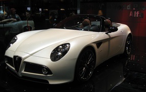 Тест драйв автомобиля Alfa Romeo 8c spider
