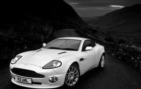 Тест драйв автомобиля Aston Martin v12