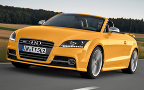 Автомобиль марки Audi модели TT 2014 года