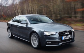 Фото автомобиля Audi tdi