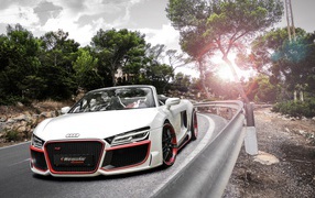 Audi R8 v10 Spyder модель 2014 года