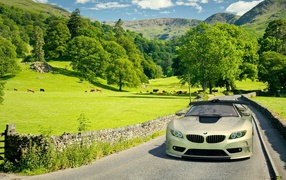 Автомобиль BMW на поле
