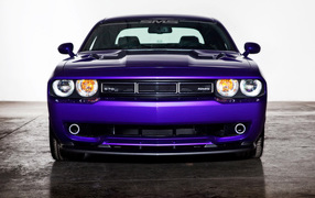 Сиреневый Dodge Challenger