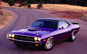 Путешественник Dodge Challenger