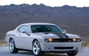 Белый Dodge Challenger