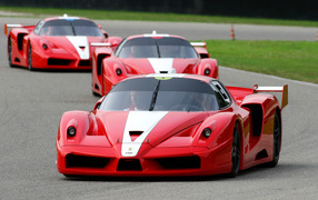 Спортивный Ferrari FXX