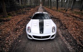 Феррари 599 в осеннем лесу