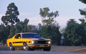 Форд мустанг Шелби