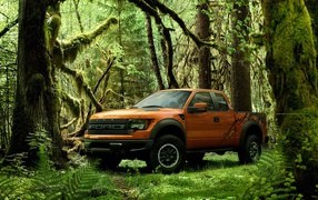 Автомобиль Ford raptor