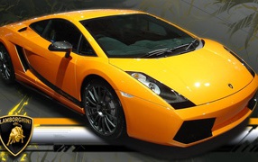 Двухцветный  Lamborghini