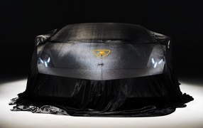 Lamborghini на авто шоу