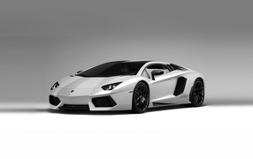 Белый Lamborghini aventador