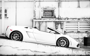 Кабриолет Lamborghini gallardo spyder