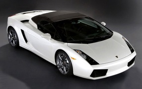 Черно белый Lamborghini 