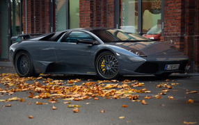 	  Lamborghini at the autumn street